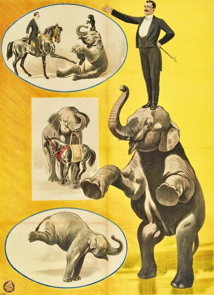 Elephant Mary visits St. Thomas poster