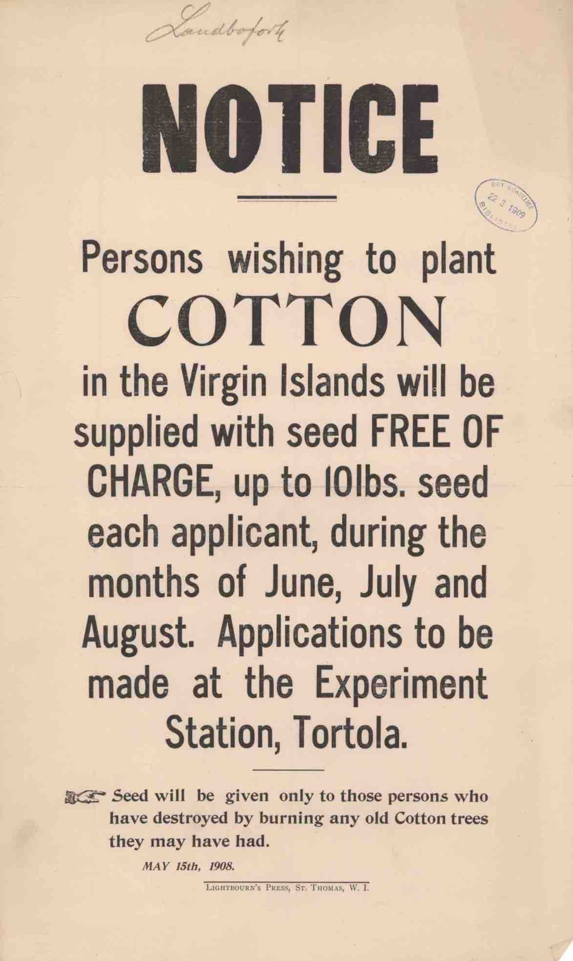 Tortola, 1908, Planting cotton, courtesy of the Royal Danish Library