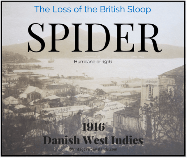 The Loss of the British Sloop, SPIDER during the Hurricane of 1916. By Valerie Sims